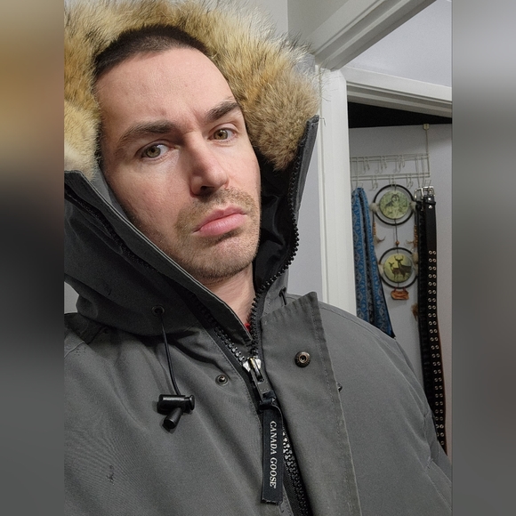 Canada goose - Picture 2 of 5